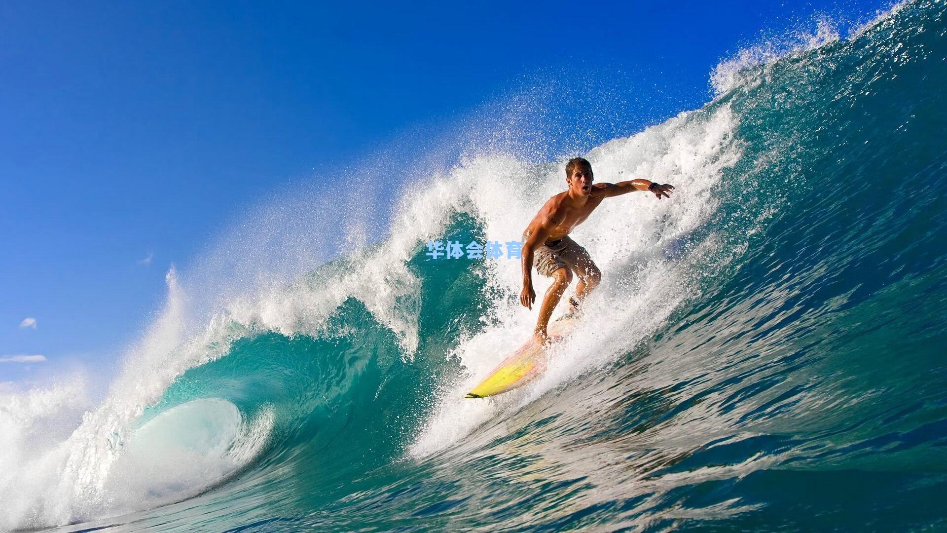 CBA焦点战，辽宁本钢力克浙江方兴渡，卫冕冠军展现实力